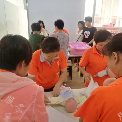 天津專業培訓課程指南 營養師、月嫂與催乳師培訓選擇與價格解析